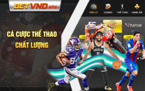 Cá cược thể thao chất lượng Betvnd