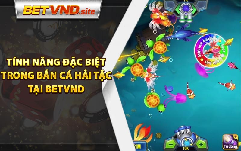 Các tính năng đặc biệt trong bắn cá hải tặc tại Betvnd