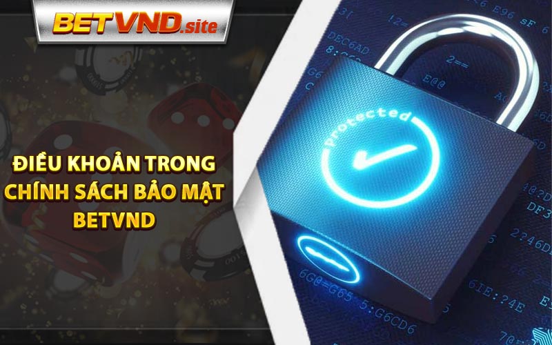 Cơ sở điều khoản trong chính sách bảo mật Betvnd