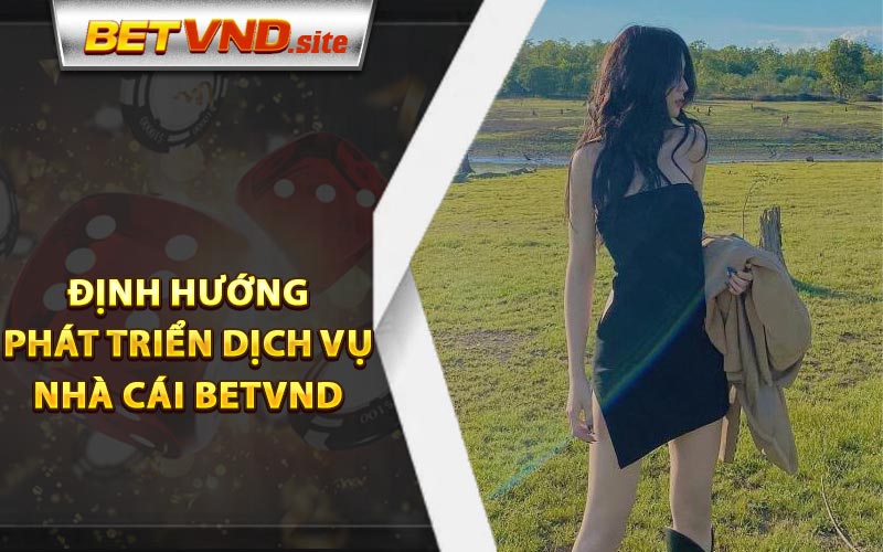 Định Hướng Phát Triển Dịch Vụ Nhà Cái Betvnd