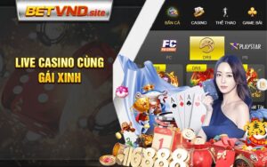 Live casino cùng gái xinh Betvnd