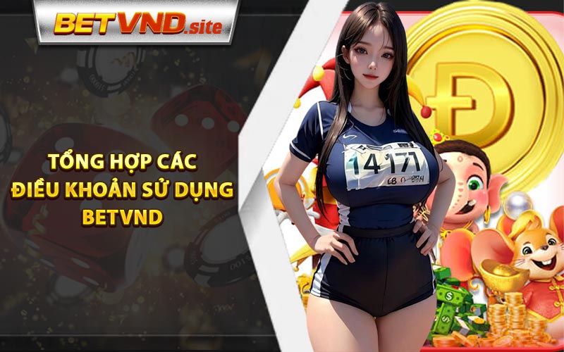 Tổng hợp các điều khoản sử dụng Betvnd